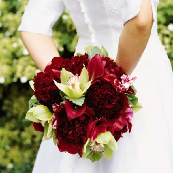 تلفزيون نابلس بالفيديو _ فتاه تحاول الحصول على "باقة ورد