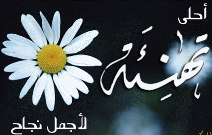 78250ntv98364941975904.gif